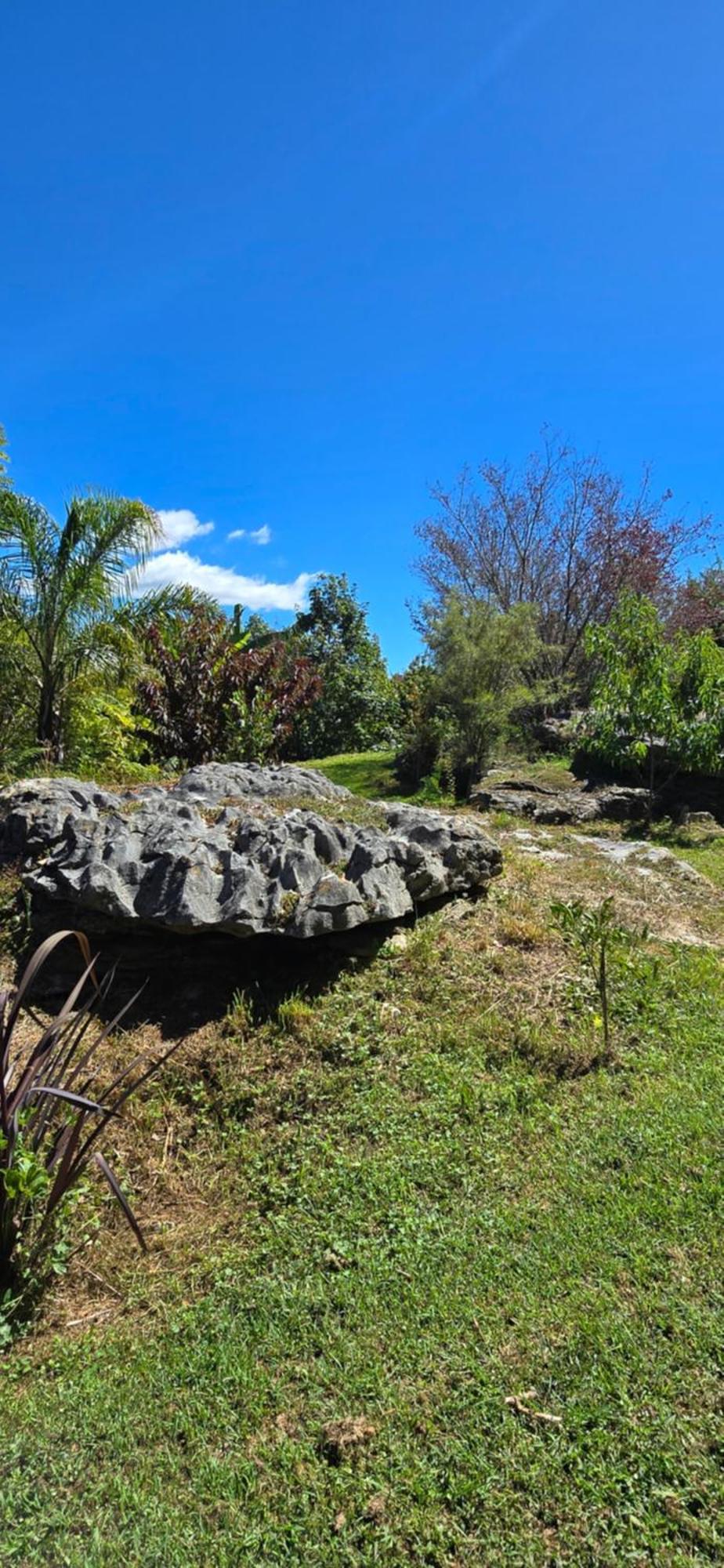 The Rocks Chalets Takaka Zewnętrze zdjęcie